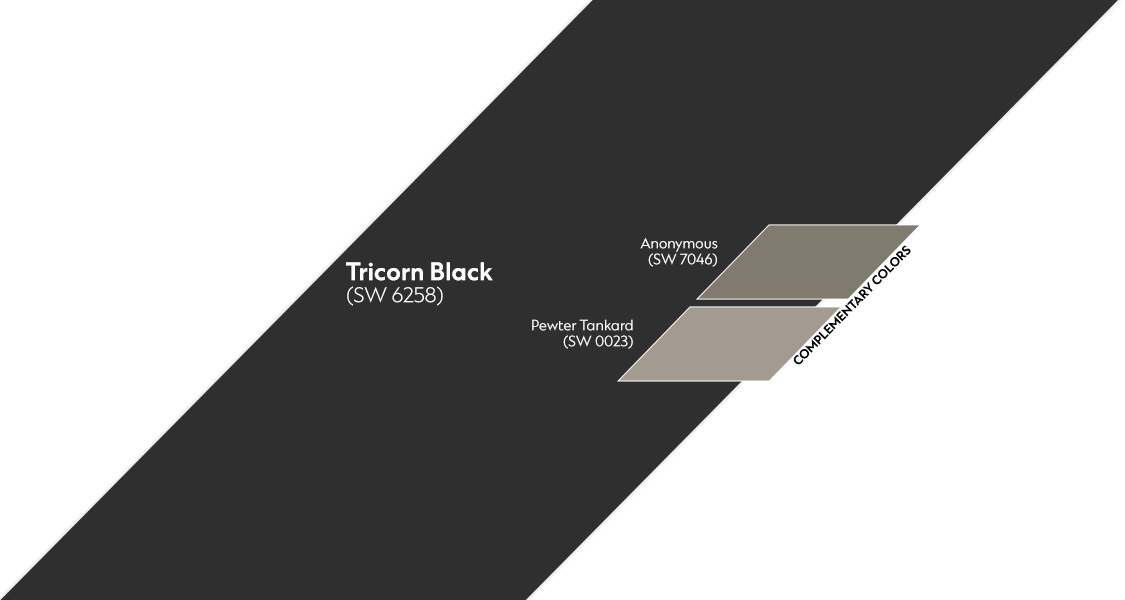 Tricorn Black complementary Spectrum color palette